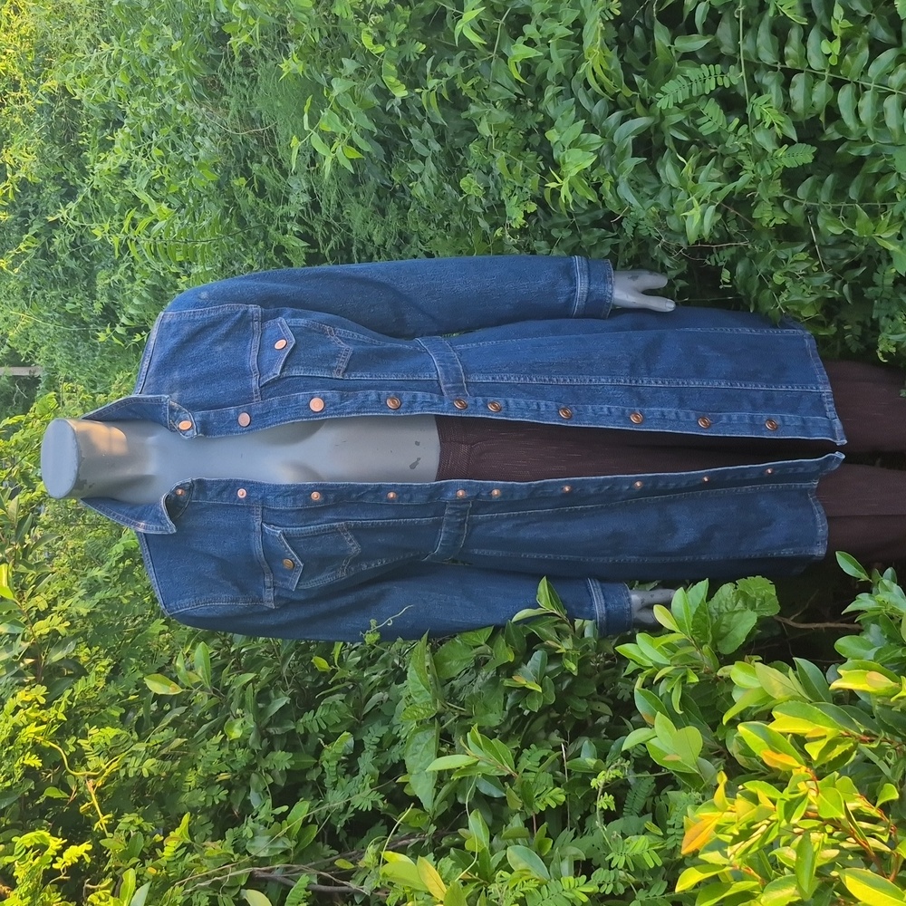 J. Crew Denim Ladies Button Down Denim Dress in Classic Blue